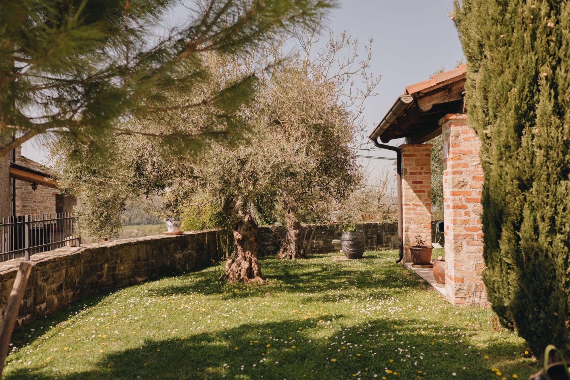 Dreamhill Meloni Villa Motovun Kültér fotó